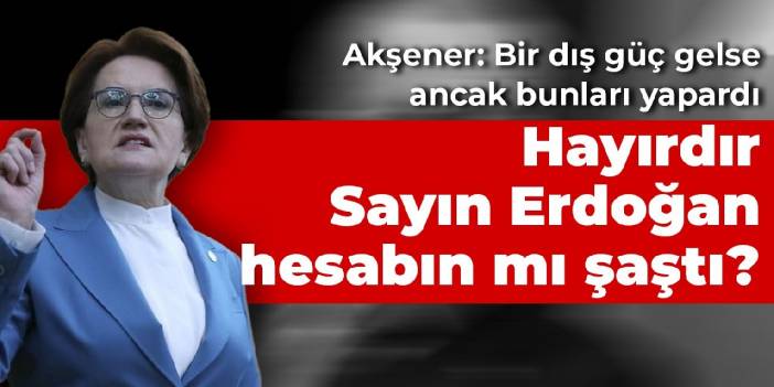 Akşener: Bir dış güç gelse ancak bunları yapardı