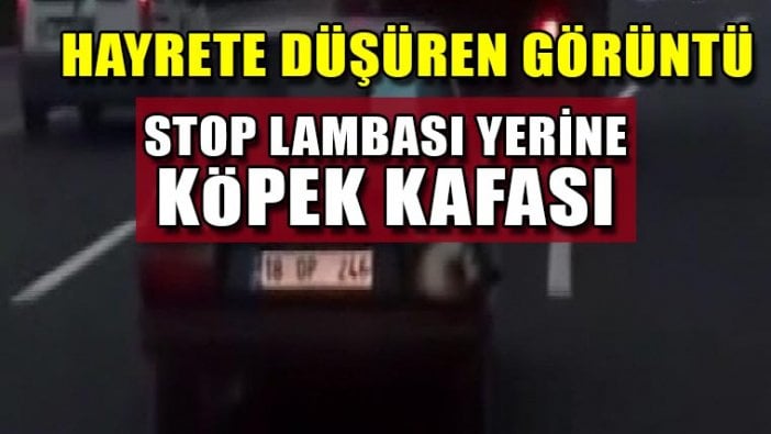 Ankara'da hayrete düşüren görüntü