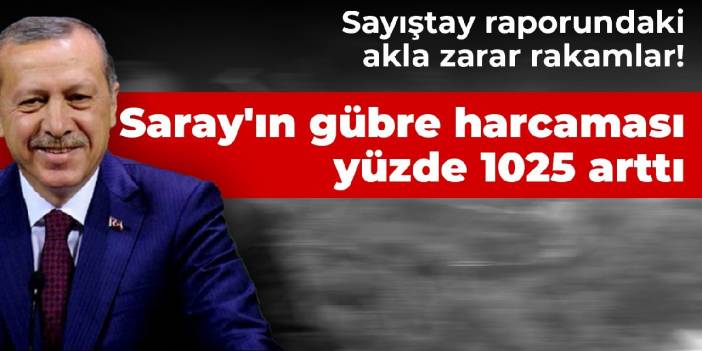 Sayıştay raporundaki akla zarar rakamlar! Saray'ın gübre harcaması yüzde 1025 arttı