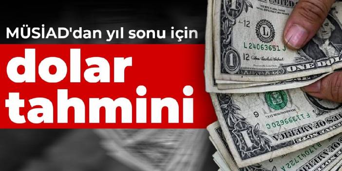 MÜSİAD'dan yıl sonu için dolar tahmini