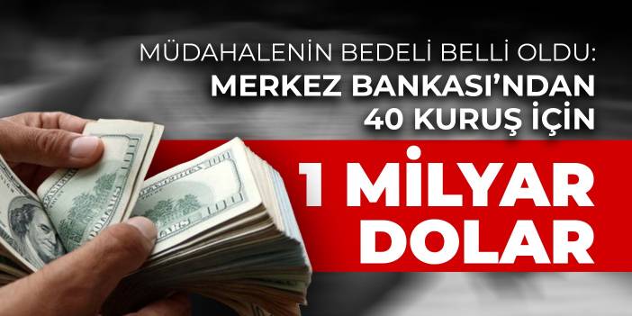 Müdahalenin bedeli belli oldu: Merkez Bankası’ndan 40 kuruş için 1 milyar dolar