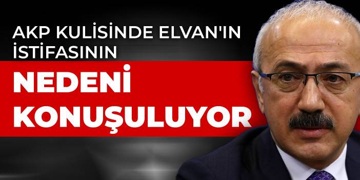 AKP kulisinde Elvan'ın istifasının nedeni konuşuluyor