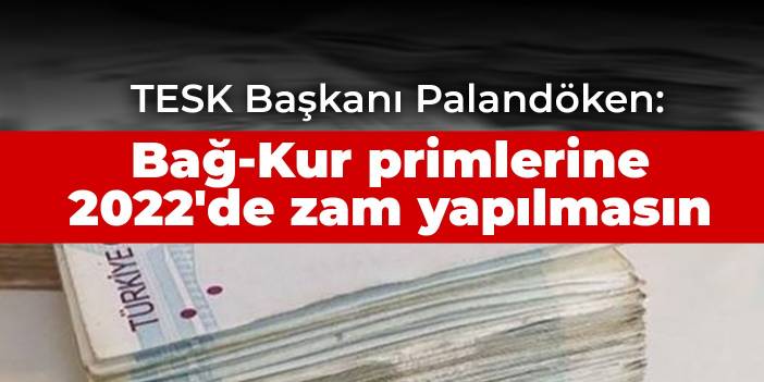 TESK Başkanı Palandöken: Bağ-Kur primlerine 2022'de zam yapılmasın