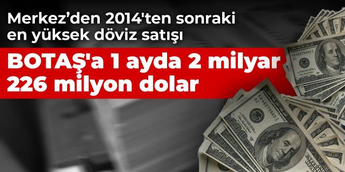 Merkez Bankası'ndan 2014'ten sonraki en yüksek döviz satışı: BOTAŞ'a 1 ayda 2 milyar 226 milyon dolar