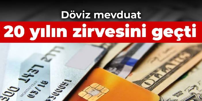 Döviz mevduat 20 yılın zirvesini geçti