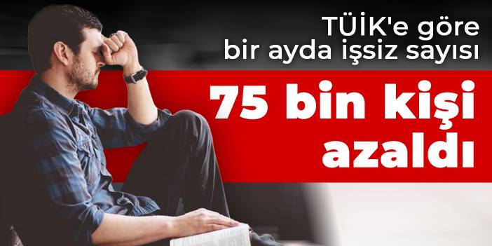 TÜİK'e göre bir ayda işsiz sayısı 75 bin kişi azaldı