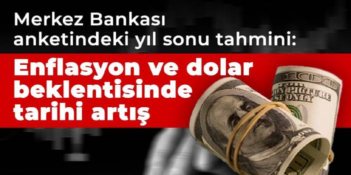 Yıl sonu enflasyon ve dolar beklentisinde tarihi artış