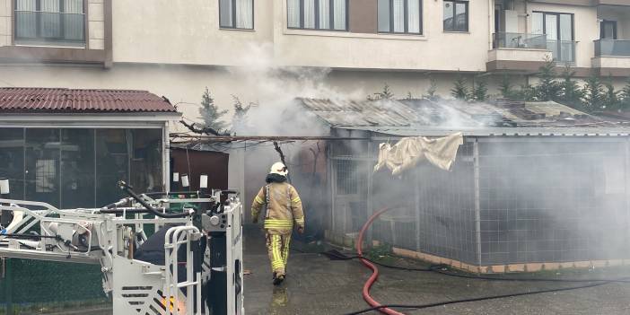 Maltepe'de halı yıkama atölyesinde yangın