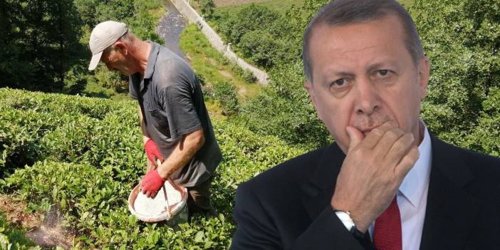 Rizeliler Erdoğan isyanını WSJ’a anlattı: Bu hükümetten kurtaracak herkese oy vereceğim