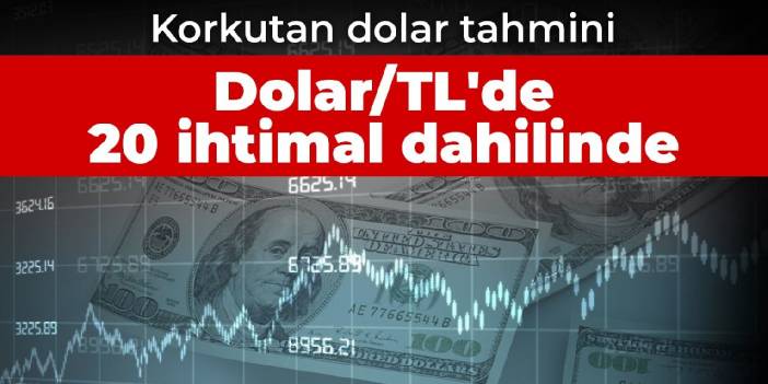 Korkutan dolar tahmini: Dolar/TL'de 20 ihtimal dahilinde