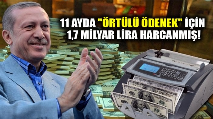 "Örtülü ödenek" için 1,7 milyar lira harcanmış!