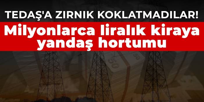 TEDAŞ'a zırnık koklatmadılar! Milyonlarca liralık kiraya yandaş hortumu