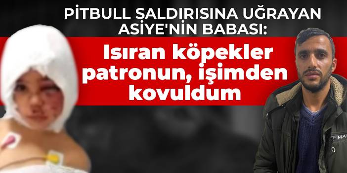 Pitbull saldırısına uğrayan Asiye'nin babası: Isıran köpekler patronun, işimden kovuldum