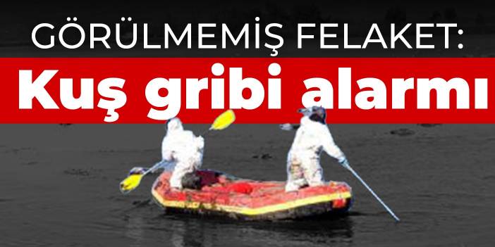 Görülmemiş felaket: Kuş gribi alarmı