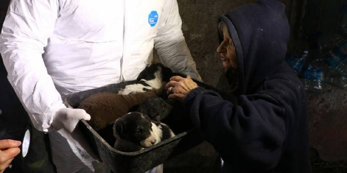 Çöp evde 20 kedi ve köpeğe el konuldu: Ölen köpekleri saksılara gömmüş