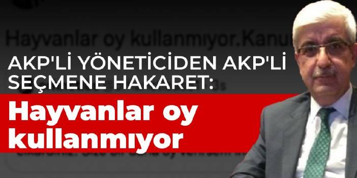 AKP'li yöneticiden AKP'li seçmene hakaret: Hayvanlar oy kullanmıyor