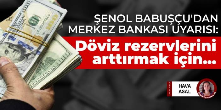 Şenol Babuşçu'dan Merkez Bankası uyarısı: Döviz rezervlerini arttırmak için...