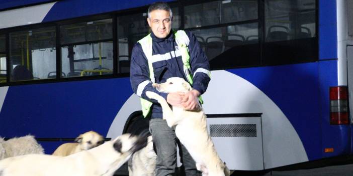 EGO şoförü Demir, topladığı yemeklerle 150 köpeğe bakıyor