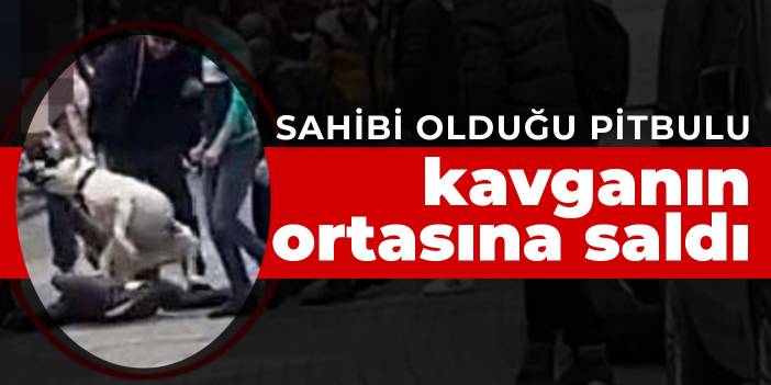 Sahibi olduğu pitbulu kavganın ortasına saldı