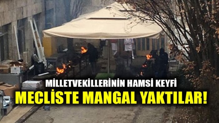 Mecliste mangal keyfi: Milletvekilleri için 1 ton hamsi getirildi!