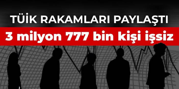 TÜİK rakamları paylaştı! Kasımda işsiz sayısı 3 milyon 777 bin kişiye yükseldi