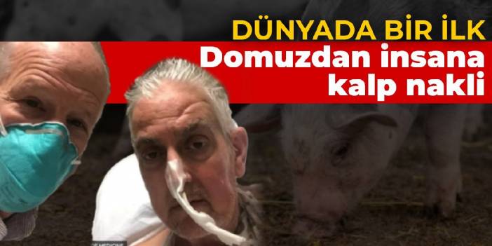 Domuzdan insana ilk kalp nakli