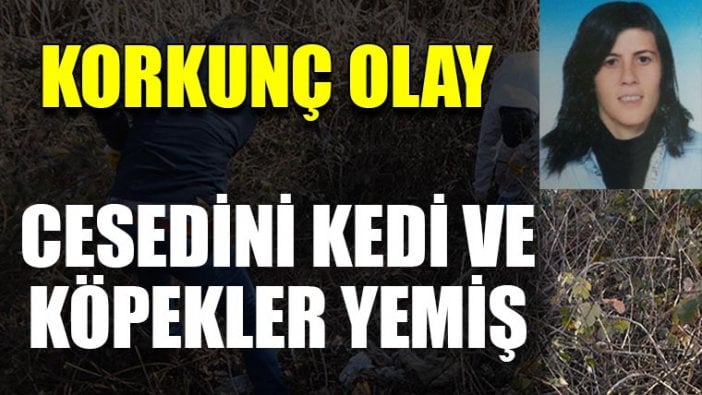 Kayıp kadının cesedini kedi ve köpekler yemiş