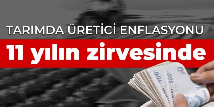 Tarımda üretici enflasyonu 11 yılın zirvesinde