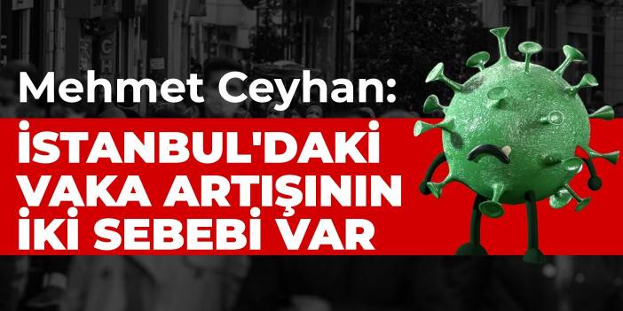 Mehmet Ceyhan: İstanbul'daki vaka artışının iki sebebi var