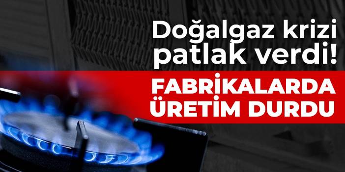 Doğalgaz krizi patlak verdi! Fabrikalarda üretim durdu