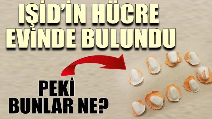 IŞİD’li teröristlerin evinde parmak izi kalıpları çıktı