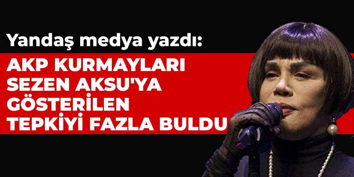 Yandaş medya yazdı: AKP kurmayları Sezen Aksu'ya gösterilen tepkiyi fazla buldu