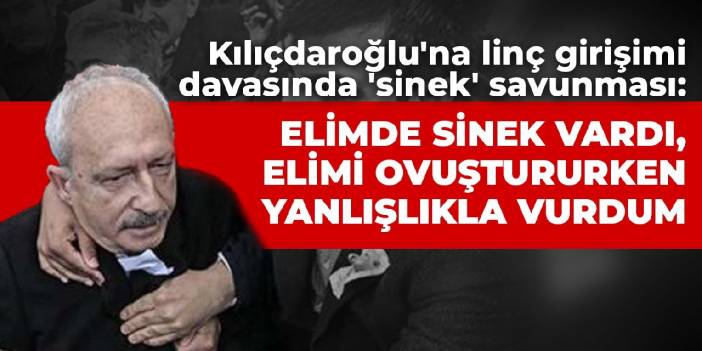 Kılıçdaroğlu'na linç girişimi davasında 'sinek' savunması: Elimde sinek vardı, elimi ovuştururken yanlışlıkla vurdum