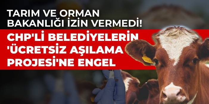 Tarım ve Orman Bakanlığı izin vermedi! CHP'li belediyelerin 'ücretsiz aşılama projesi'ne engel