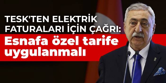 TESK'ten elektrik faturaları için çağrı: Esnafa özel tarife uygulanmalı