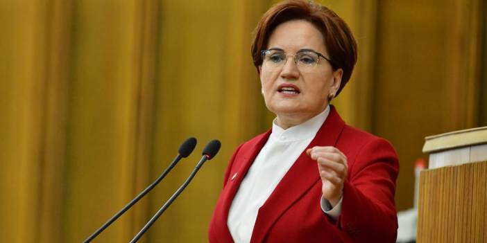 Tarkan’ın yeni şarkısına Meral Akşener'den yorum