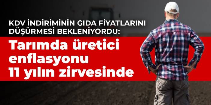 KDV indiriminin gıda fiyatlarını düşürmesi bekleniyordu: Tarımda üretici enflasyonu 11 yılın zirvesinde