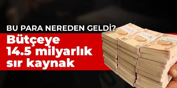 Bu para nereden geldi? Bütçeye 14.5 milyarlık sır kaynak