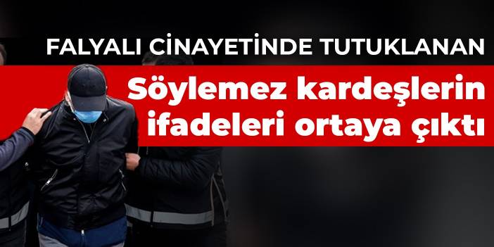 Falyalı cinayetinde tutuklanan Söylemez kardeşlerin ifadeleri ortaya çıktı