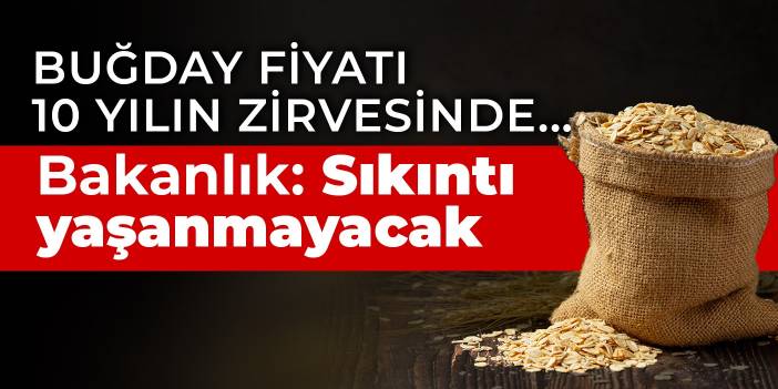 Buğday fiyatı 10 yılın zirvesinde... Bakanlık: Sıkıntı yaşanmayacak