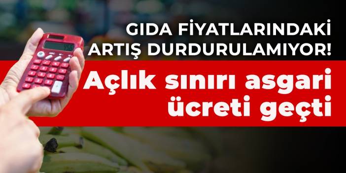 Gıda fiyatlarındaki artış durdurulamıyor! Açlık sınırı asgari ücreti geçti