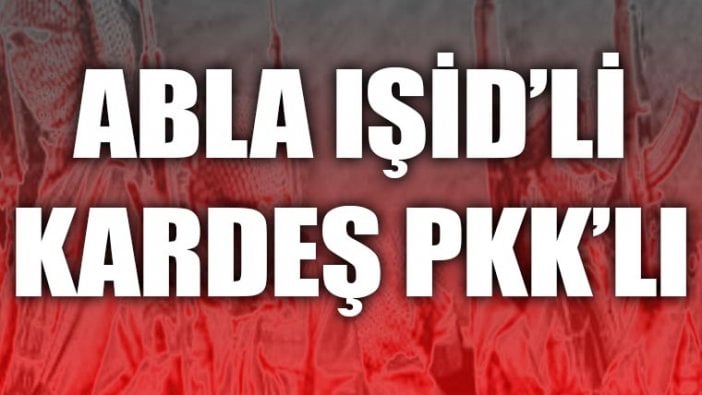 PKK üyesinin ablası, IŞİD'li çıktı