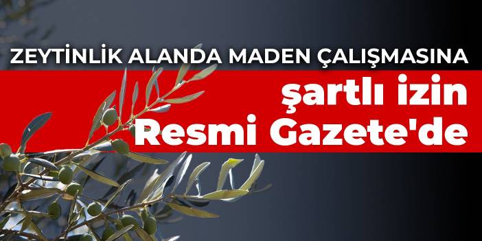 Zeytinlik alanlarda madencilik izni Resmi Gazete'de