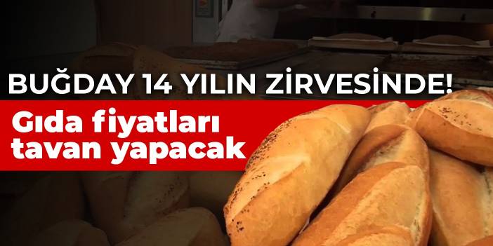 Buğday 14 yılın zirvesinde! Gıda fiyatları tavan yapacak