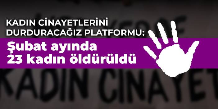 Kadın Cinayetlerini Durduracağız Platformu: Şubat ayında 23 kadın öldürüldü