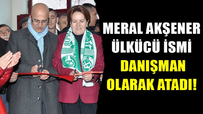 Meral Akşener'den kritik danışman ataması!