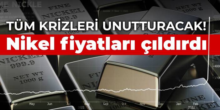 Tüm krizleri unutturacak! Nikel fiyatları çıldırdı