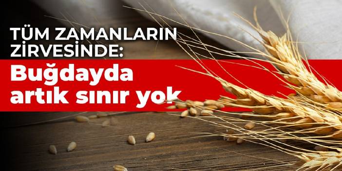 Tüm zamanların zirvesinde: Buğdayda artık sınır yok