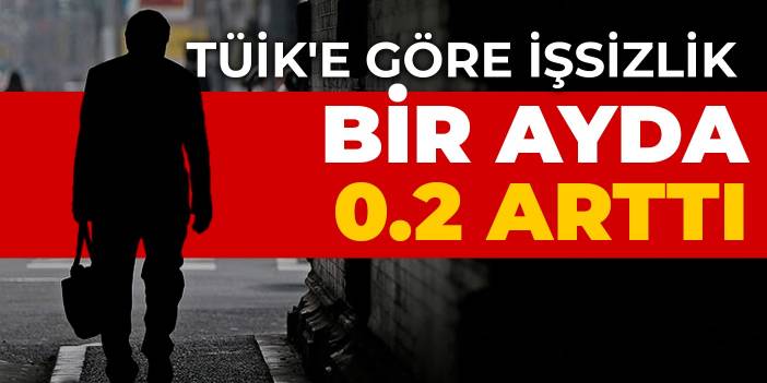 TÜİK'e göre işsizlik bir ayda 0.2 arttı