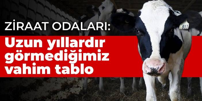 Ziraat Odaları: Bu uzun yıllardır görmediğimiz bir durum, tablo vahim